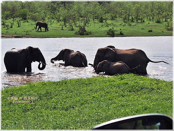 克魯格爾國家公園 Kruger National Park