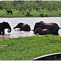 克魯格爾國家公園 Kruger National Park