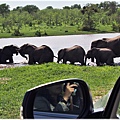 克魯格爾國家公園 Kruger National Park