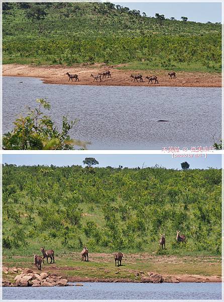 克魯格爾國家公園 Kruger National Park