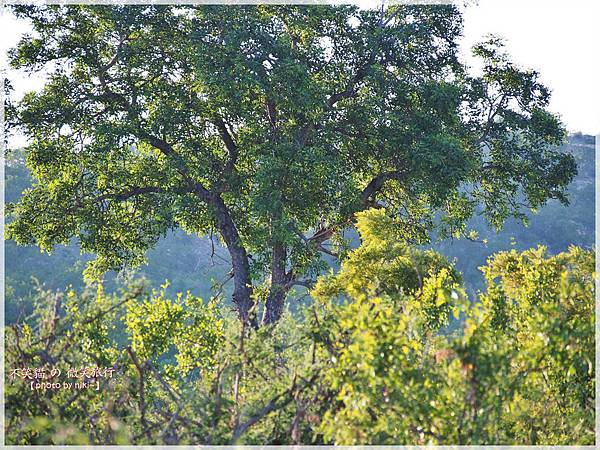 克魯格爾國家公園 Kruger National Park