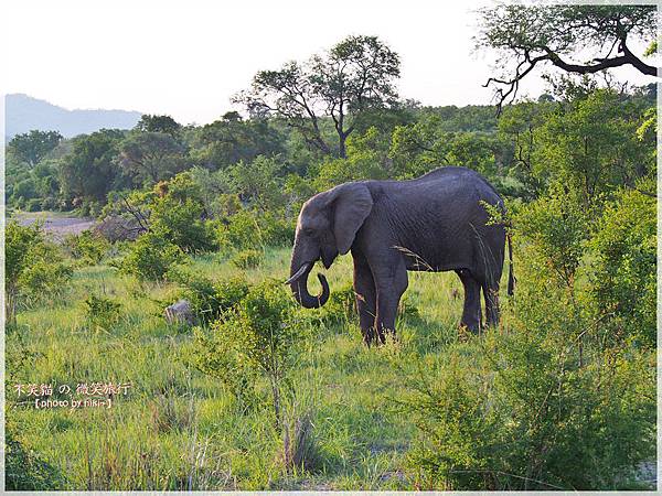 克魯格爾國家公園 Kruger National Park