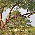  Kruger National Park克魯格國家公園