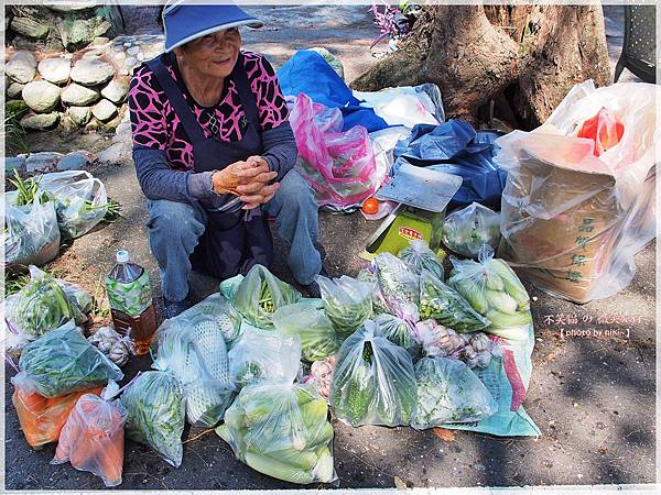 台東2626市集、永安誠實商店(武陵綠色隧道)
