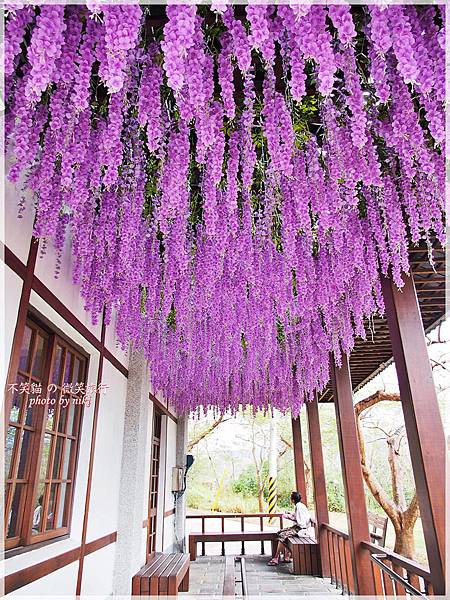 四重溪溫泉公園