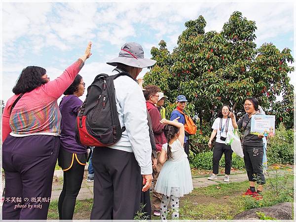 高雄一日農夫體驗趣_農村知識王