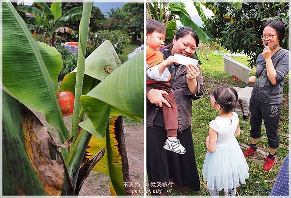 高雄一日農夫體驗趣_農村知識王