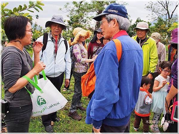高雄一日農夫體驗趣_農村知識王