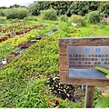 高雄一日農夫體驗趣_農村知識王