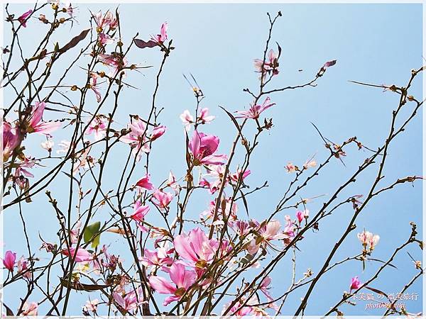 澄清湖之三亭攬勝