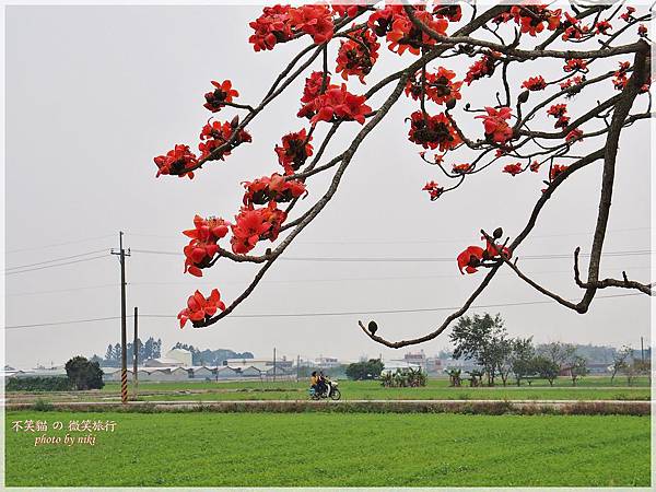 林初埤木棉花道.交通
