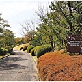 大阪萬博紀念公園日式庭園