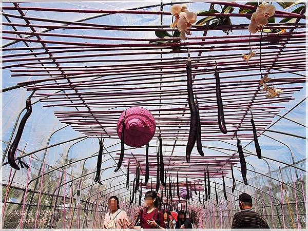 初春賞花旅遊_屏東熱帶農業博覽交通地圖、園區導覽