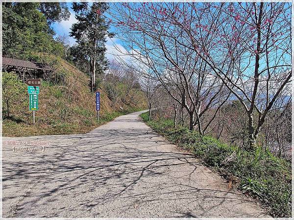 高雄賞櫻旅遊景點_寶山二集團櫻花公園