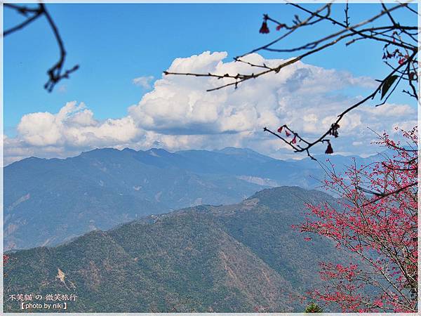 高雄賞櫻旅遊景點_寶山二集團櫻花公園