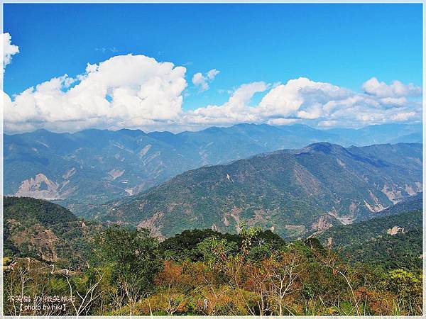 高雄賞櫻旅遊景點_寶山二集團櫻花公園