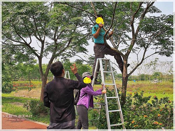 屏東潮州旅遊景點_大武山下.林後四林平地森林園區
