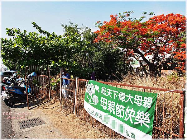 高雄廢墟景點_大湖蕃茄會社鳳凰花祭