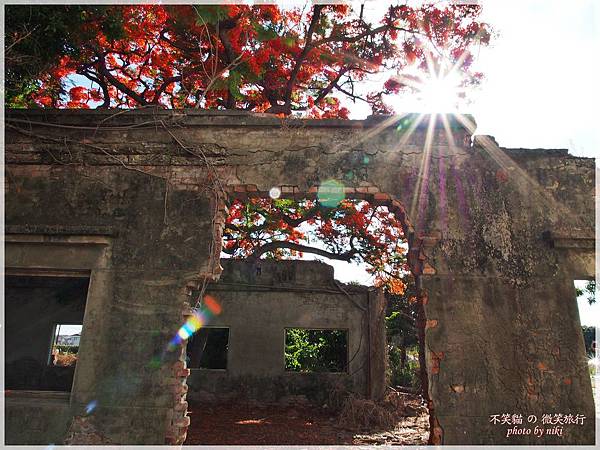 高雄廢墟景點_大湖蕃茄會社鳳凰花祭