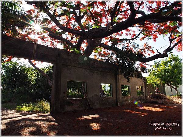 高雄廢墟景點_大湖蕃茄會社鳳凰花祭