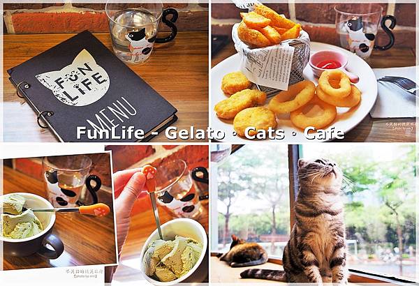 新北板橋寵物餐廳_放懶貓日子FunLife-Gelato Cats Café