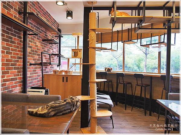 新北板橋寵物餐廳_放懶貓日子FunLife-Gelato Cats Café