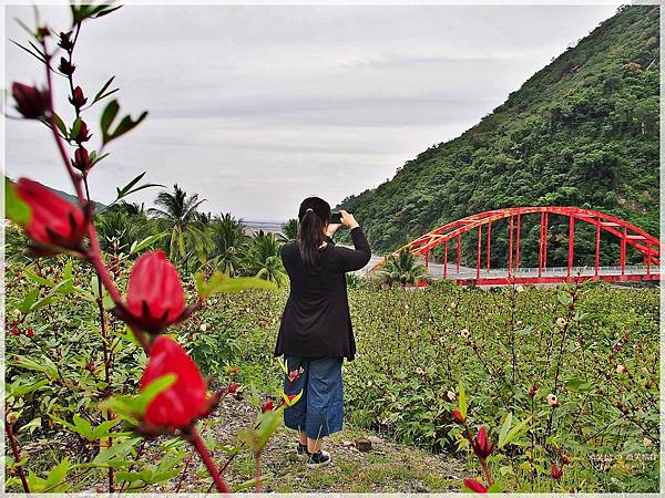 台東太麻里金峰旅遊住宿_金崙奇瓦拉民宿