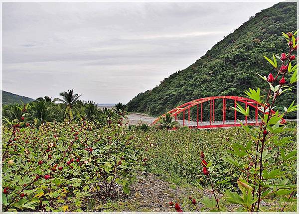 台東太麻里金峰旅遊住宿_金崙奇瓦拉民宿