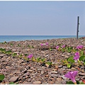 P4300239-1.JPG