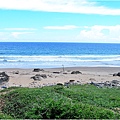 PA110034-1.JPG