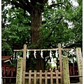 鬼子母神社10