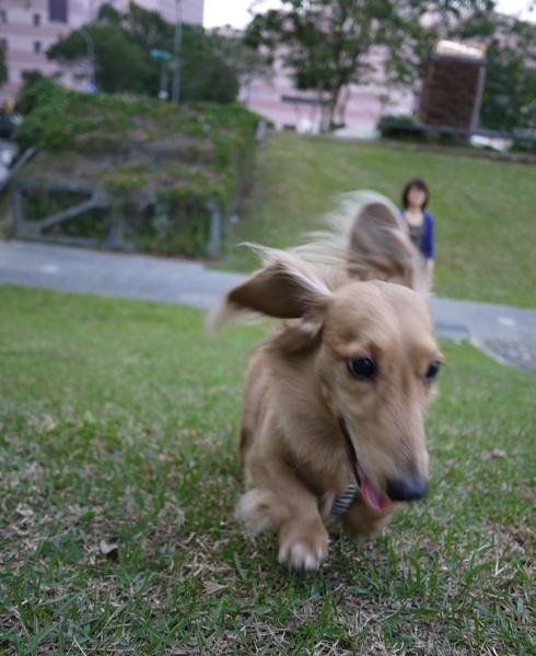 20130203_flying mito_01