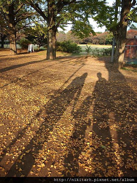 昭和公園_情侶5.jpg