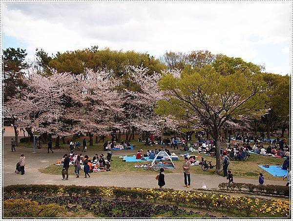 遊 名古屋 名城公園賞櫻 名古屋賞櫻必去景點 壞波妞の旅行食踨 痞客邦