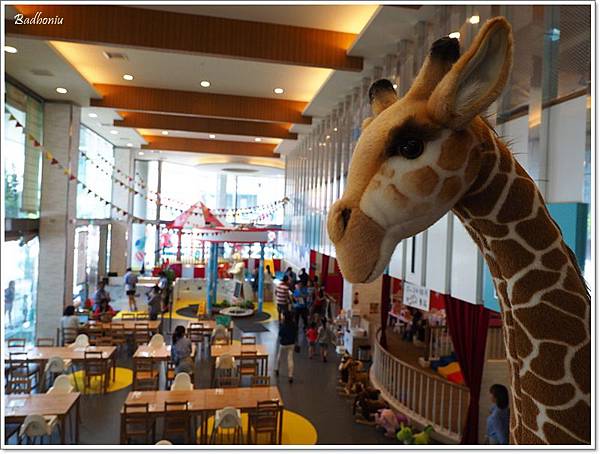 P8010186.jpg P8010186.jpg