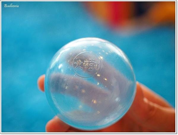 P8010253.jpg P8010253.jpg