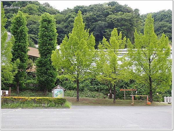 6.jpg 6.jpg