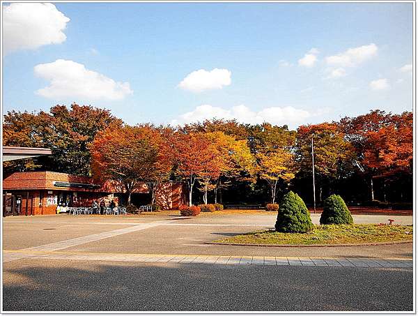 遊 東京 国営昭和記念公園 11月初秋 不楓 銀杏 壞波妞の旅行食踨 痞客邦 遊 東京 国営昭和記念公園 11月初秋 不楓 銀杏 壞波妞の旅行食踨 痞客邦