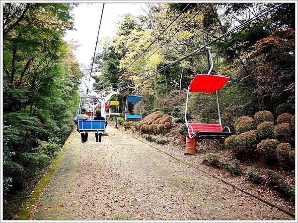 遊 東京 明治の森 高尾山賞紅葉 坐覽車好好玩 壞波妞の旅行食踨 痞客邦