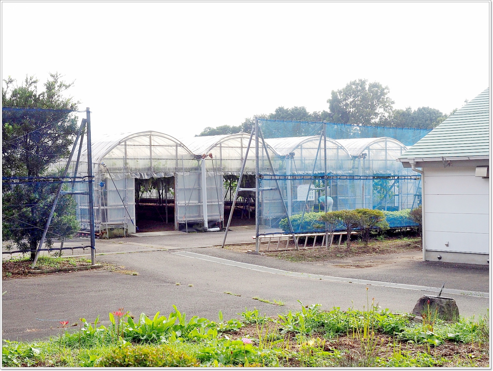 135 (2).jpg 135 (2).jpg