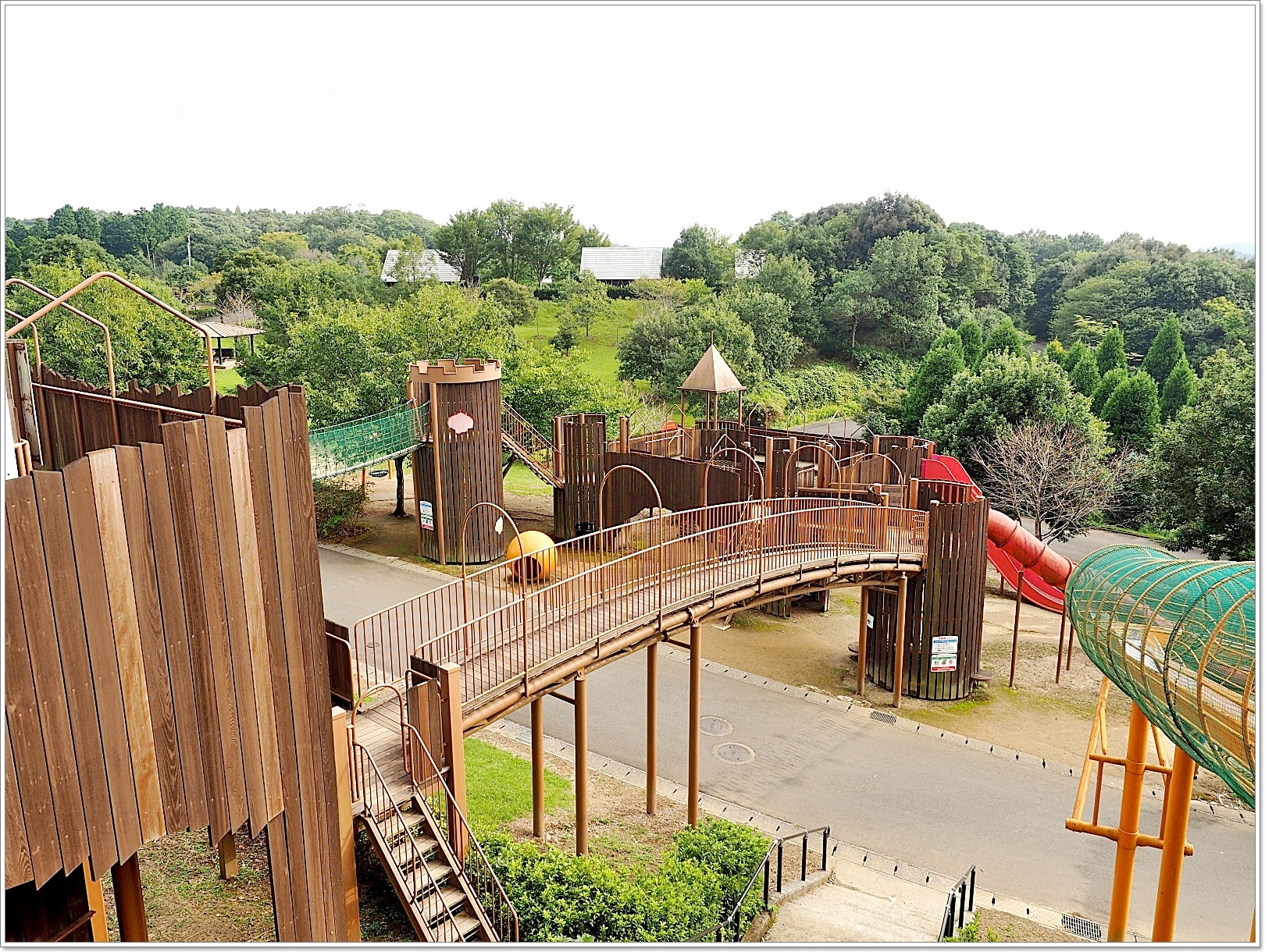 151 (3).jpg 151 (3).jpg