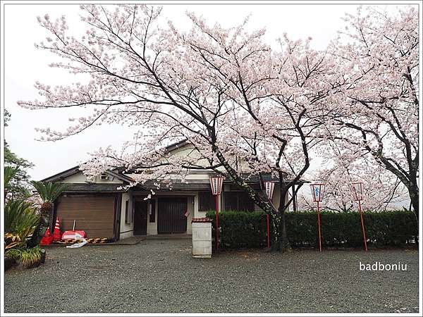 遊 福井 丸岡城 日本最古老的天守閣 福井唯二 櫻百選 中之一 壞波妞の旅行食踨 痞客邦 遊 福井 丸岡城 日本最古老的天守閣 福井唯二 櫻百選 中之一 壞波妞の旅行食踨 痞客邦