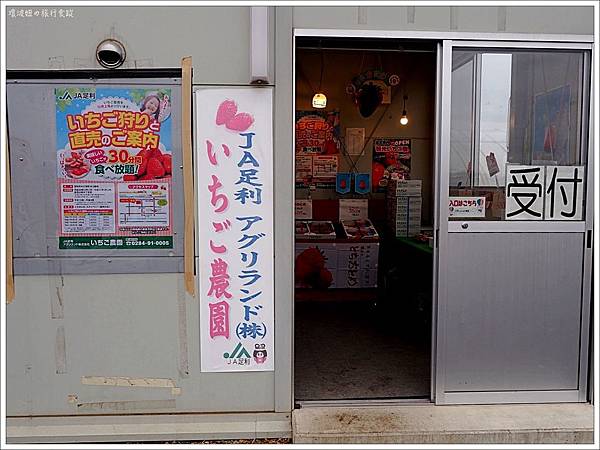 遊 櫪木 Ja足利アグリランド いちご農園 草莓王國櫪木 拳頭大的草莓又香又甜30分鐘吃到飽 壞波妞の旅行食踨 遊 櫪木 Ja足利アグリランド いちご農園 草莓王國櫪木 拳頭大的草莓又香又甜30分鐘吃到飽 壞波妞の旅行食踨