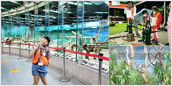 台北景點 Kkday台北親子行程 職遊體驗 英語導遊 台北市立動物園半日遊 完全不會英文也沒問題唷 壞波妞の旅行食踨 痞客邦