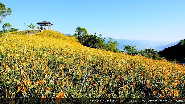 2024 花蓮玉里五大旅遊景點、三大美食、兩大金針花熱門景點