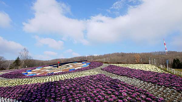 北海道旅遊 音更廣場花時計 五彩繽紛炫麗奪目 妮妮女王的美食旅遊親子後花園 痞客邦 北海道旅遊 音更廣場花時計 五彩繽紛炫麗奪目 妮妮女王的美食旅遊親子後花園 痞客邦