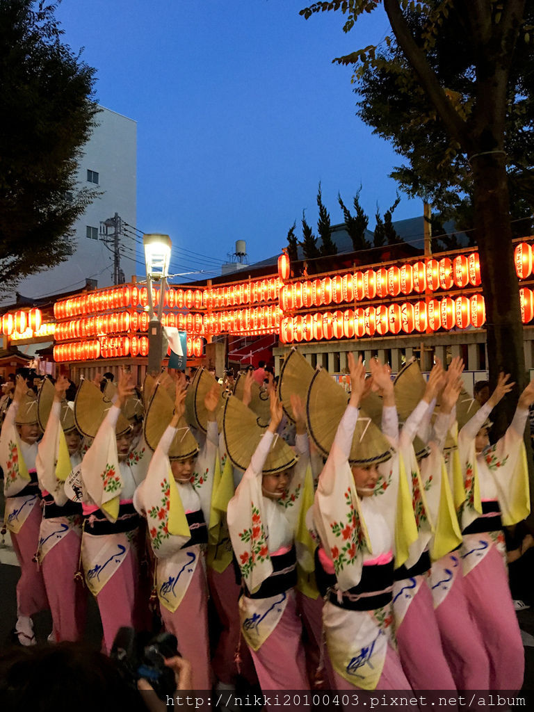 11 神樂阪阿波舞祭_2.jpg