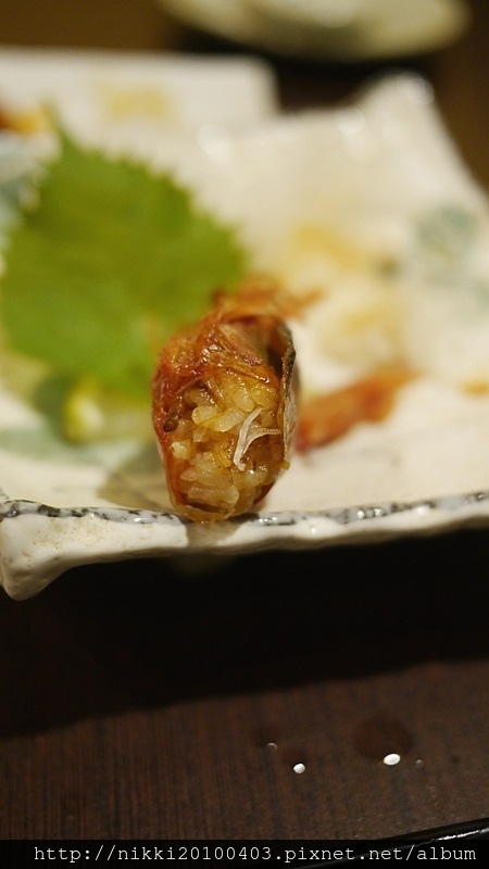 _1540548.JPG _1540548.JPG