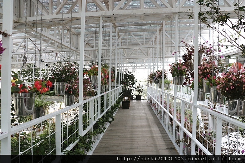 香草菲菲 (21).JPG 香草菲菲 (21).JPG