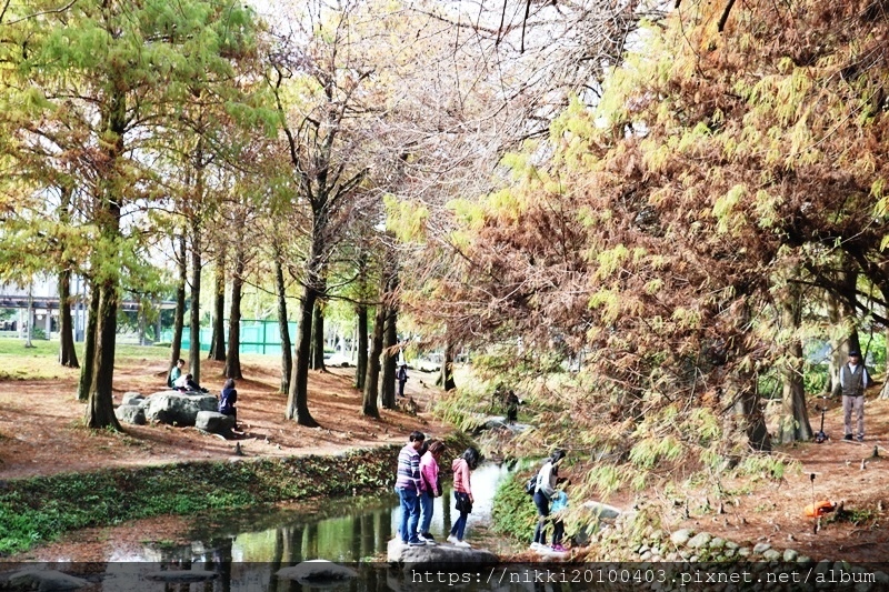 宜蘭落羽松景點 羅東運動公園宜蘭冬季景點推薦宜蘭親子旅遊必去景點推薦 妮妮女王的美食旅遊親子後花園 痞客邦